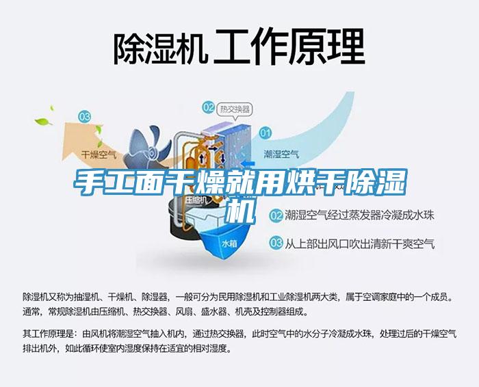 手工麵幹燥就用烘幹杏仁视频APP成人官方污