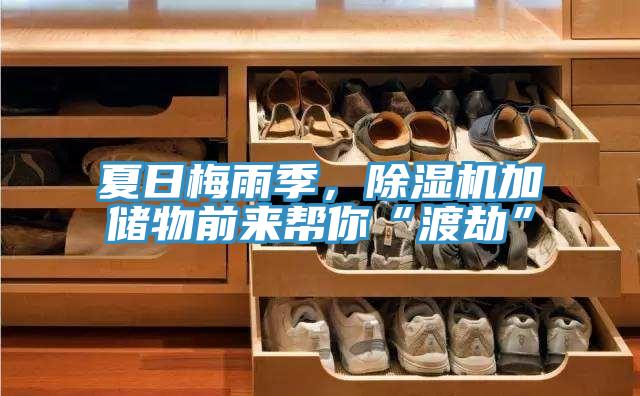 夏日梅雨季，杏仁视频APP成人官方污加儲物前來幫你“渡劫”