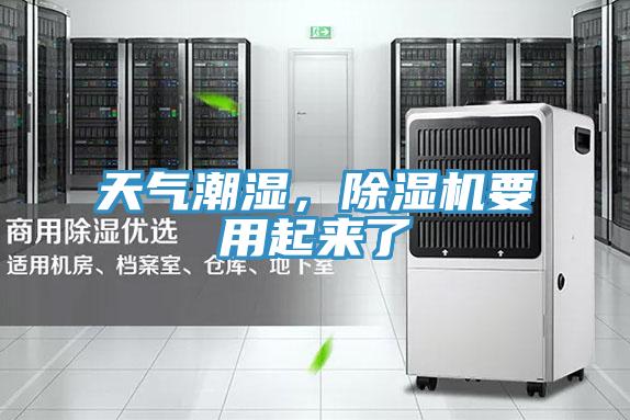 天氣潮濕，杏仁视频APP成人官方污要用起來了