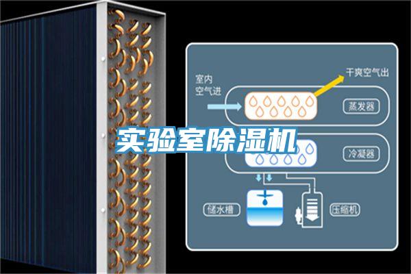 實驗室杏仁视频APP成人官方污