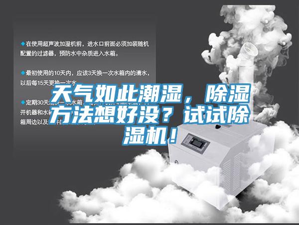 天氣如此潮濕，除濕方法想好沒？試試杏仁视频APP成人官方污！