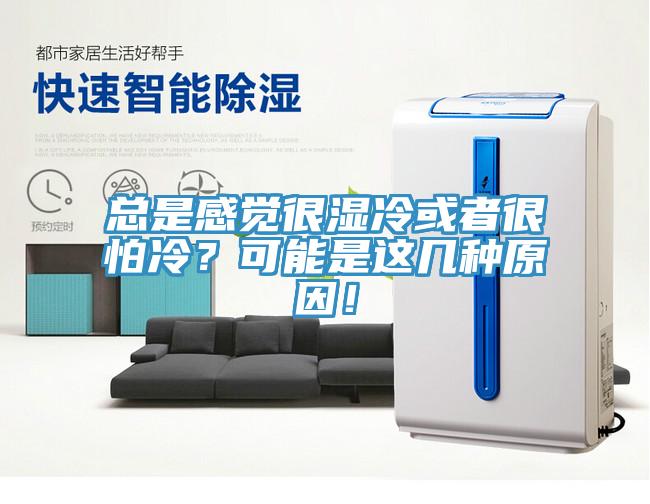 總是感覺很濕冷或者很怕冷？可能是這幾種原因！