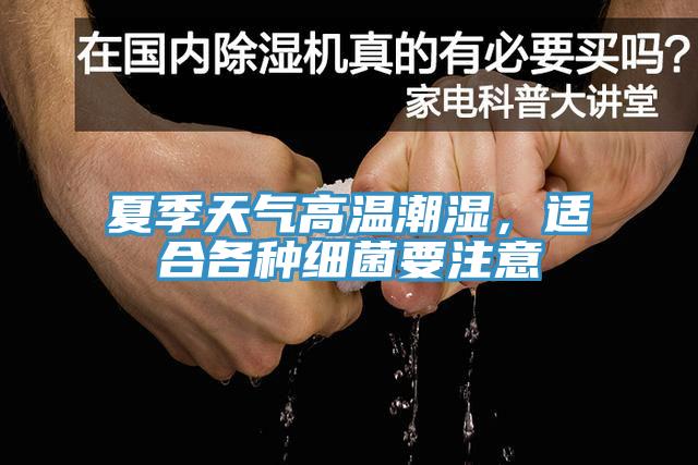 夏季天氣高溫潮濕，適合各種細菌要注意