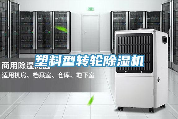 塑料型轉輪杏仁视频APP成人官方污
