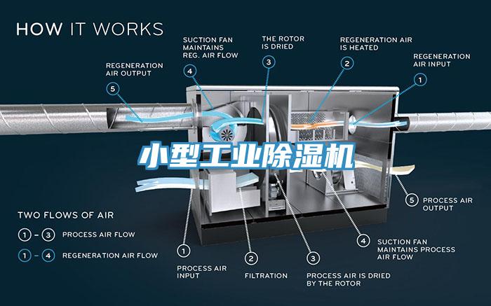 小型工業杏仁视频APP成人官方污