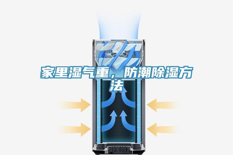 家裏濕氣重，防潮除濕方法