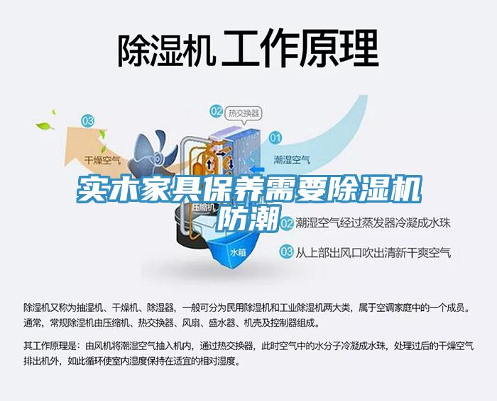 實木家具保養需要杏仁视频APP成人官方污防潮