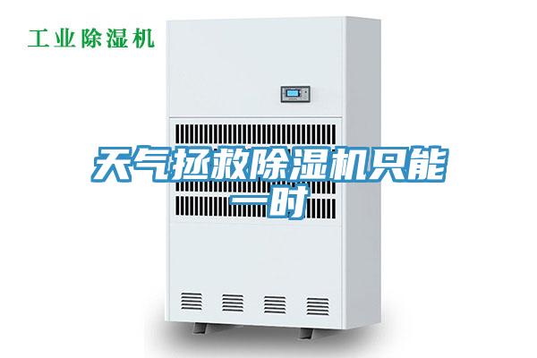 天氣拯救杏仁视频APP成人官方污隻能一時