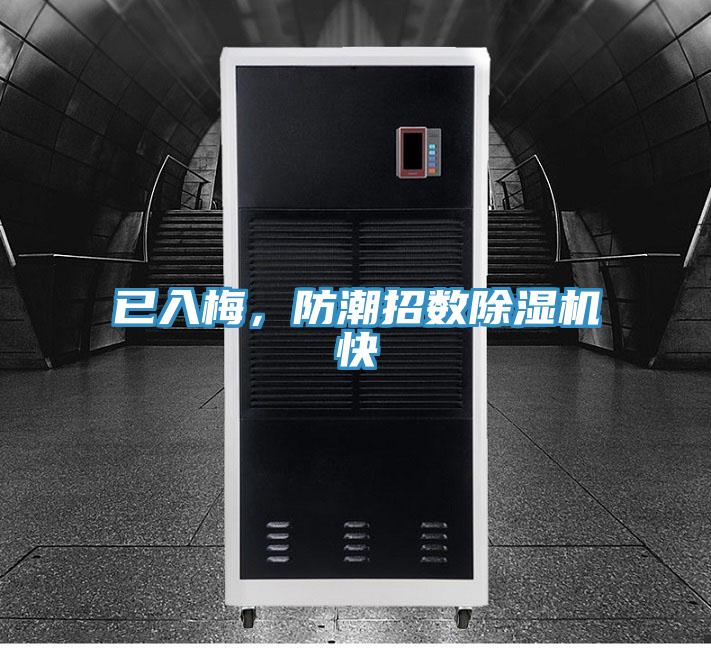 已入梅，防潮招數杏仁视频APP成人官方污快