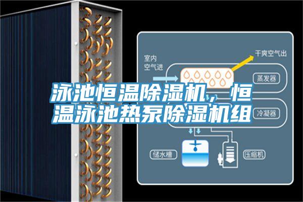 泳池恒溫杏仁视频APP成人官方污，恒溫泳池熱泵杏仁视频APP成人官方污組