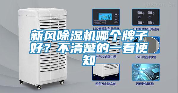 新風杏仁视频APP成人官方污哪個牌子好？不清楚的一看便知