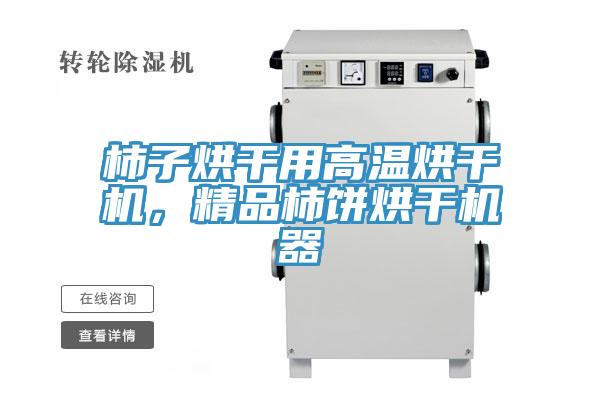 柿子烘幹用高溫烘幹機，精品柿餅烘幹機器