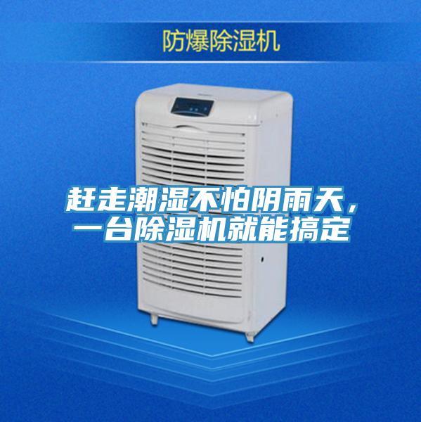 趕走潮濕不怕陰雨天，一台杏仁视频APP成人官方污就能搞定