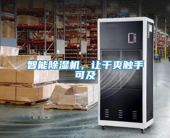 智能杏仁视频APP成人官方污，讓幹爽觸手可及