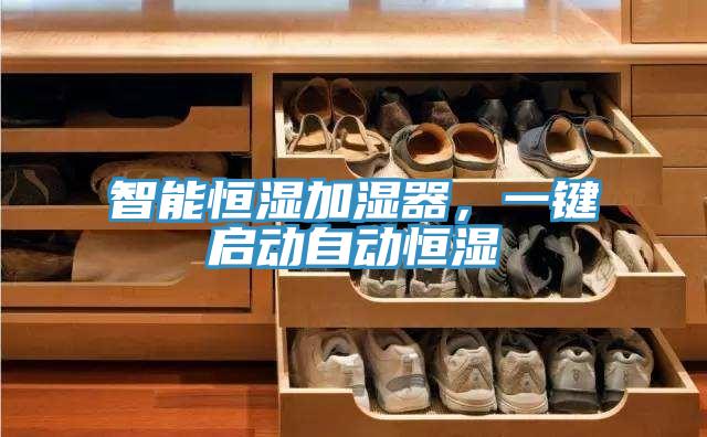 智能恒濕加濕器，一鍵啟動自動恒濕