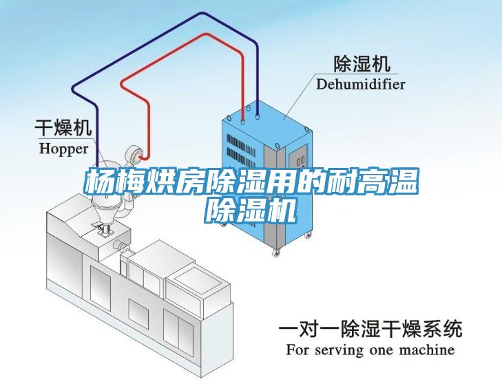 楊梅烘房除濕用的耐高溫杏仁视频APP成人官方污