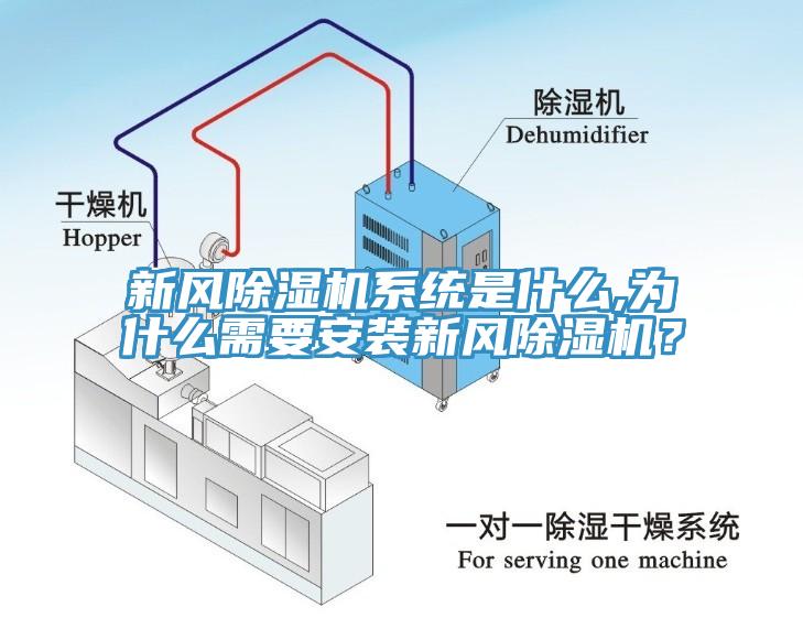 新風杏仁视频APP成人官方污係統是什麽,為什麽需要安裝新風杏仁视频APP成人官方污？