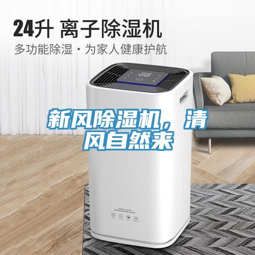 新風杏仁视频APP成人官方污，清風自然來