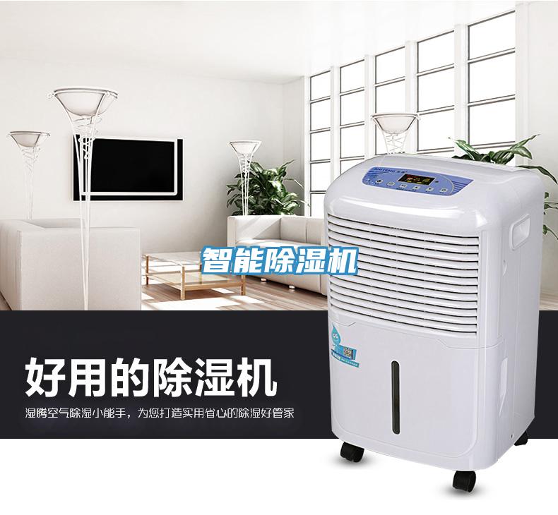 智能杏仁视频APP成人官方污
