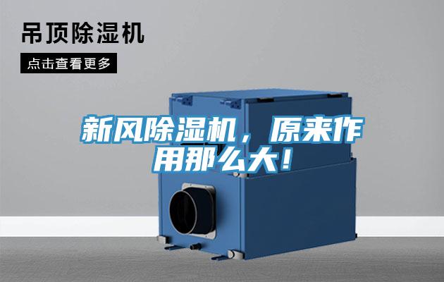 新風杏仁视频APP成人官方污，原來作用那麽大！