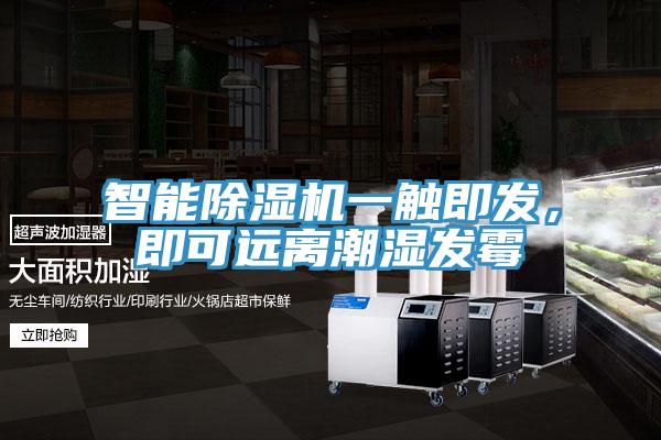 智能杏仁视频APP成人官方污一觸即發，即可遠離潮濕發黴
