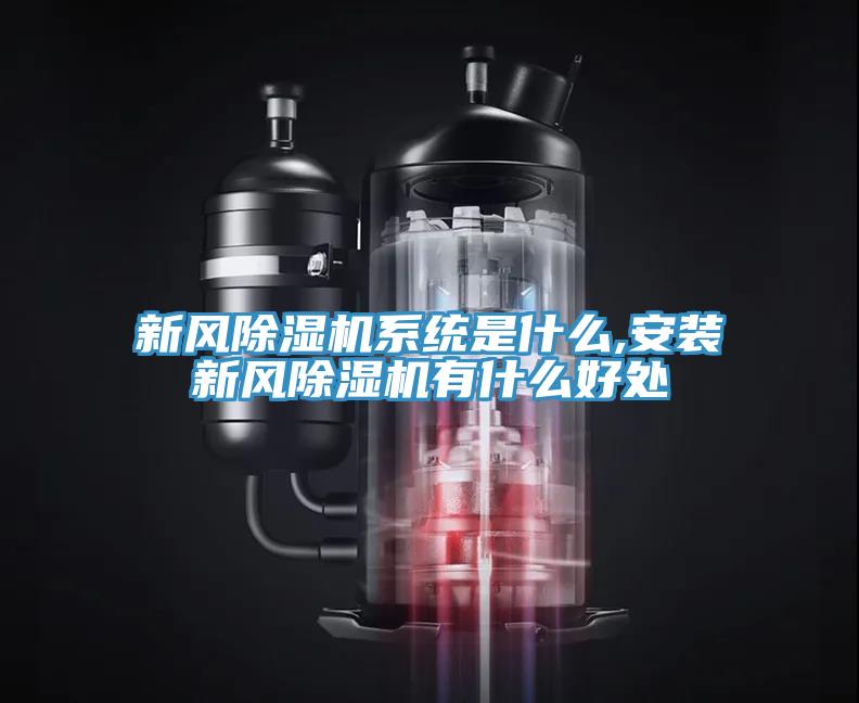新風杏仁视频APP成人官方污係統是什麽,安裝新風杏仁视频APP成人官方污有什麽好處