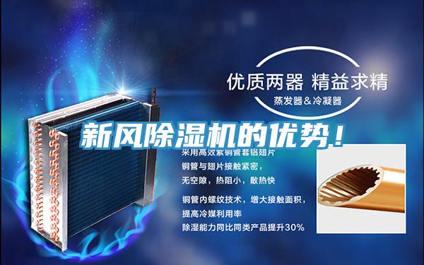 新風杏仁视频APP成人官方污的優勢！