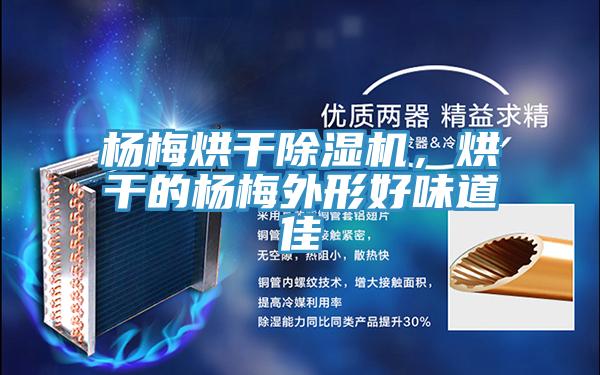 楊梅烘幹杏仁视频APP成人官方污，烘幹的楊梅外形好味道佳