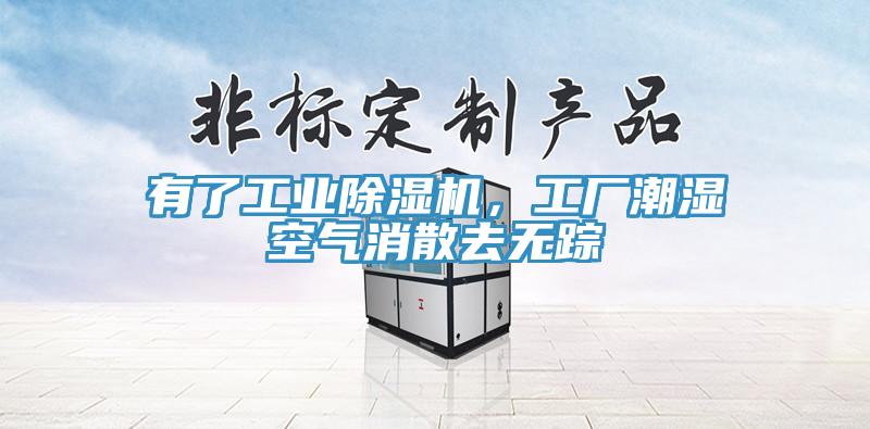 有了工業杏仁视频APP成人官方污，工廠潮濕空氣消散去無蹤