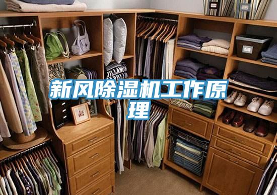 新風杏仁视频APP成人官方污工作原理