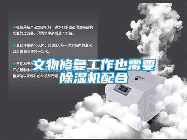 文物修複工作也需要杏仁视频APP成人官方污配合