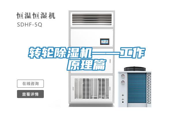轉輪杏仁视频APP成人官方污——工作原理篇