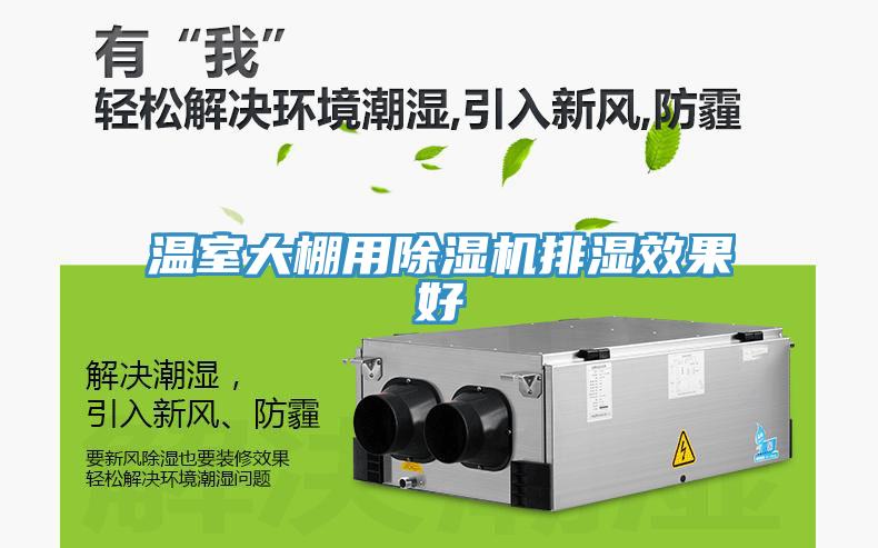 溫室大棚用杏仁视频APP成人官方污排濕效果好