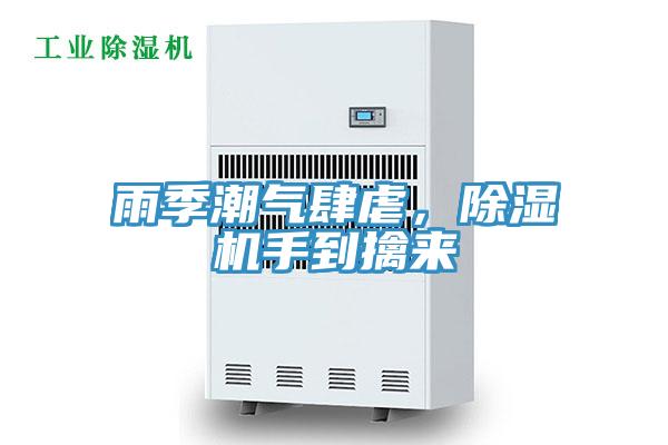 雨季潮氣肆虐，杏仁视频APP成人官方污手到擒來