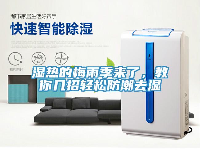 濕熱的梅雨季來了，教你幾招輕鬆防潮去濕