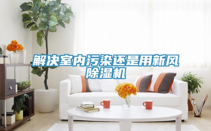 解決室內汙染還是用新風杏仁视频APP成人官方污