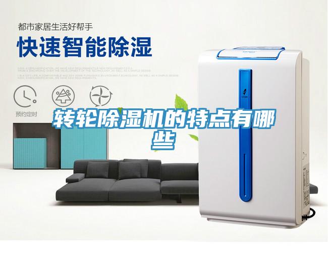 轉輪杏仁视频APP成人官方污的特點有哪些