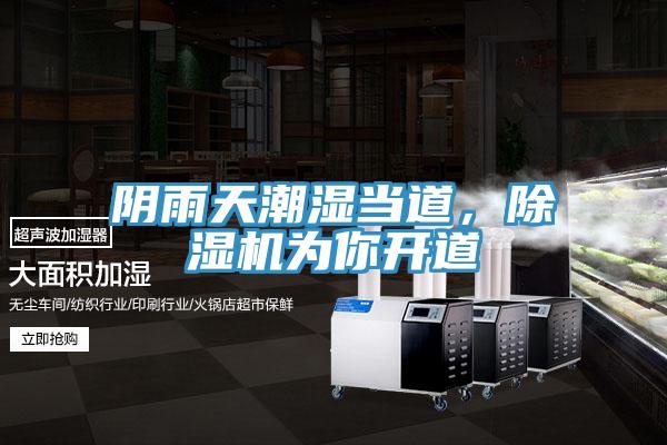 陰雨天潮濕當道，杏仁视频APP成人官方污為你開道