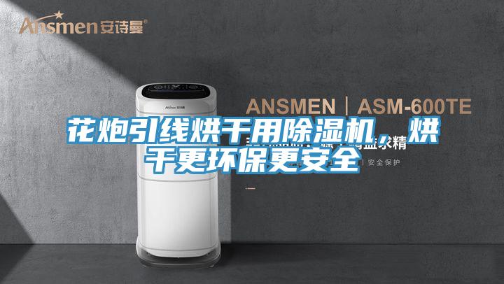 花炮引線烘幹用杏仁视频APP成人官方污，烘幹更環保更安全