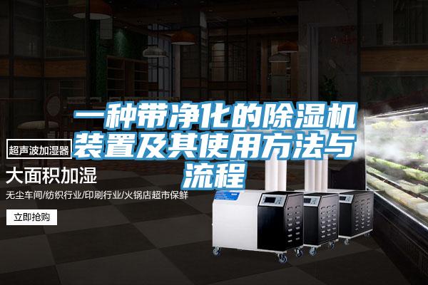 一種帶淨化的杏仁视频APP成人官方污裝置及其使用方法與流程