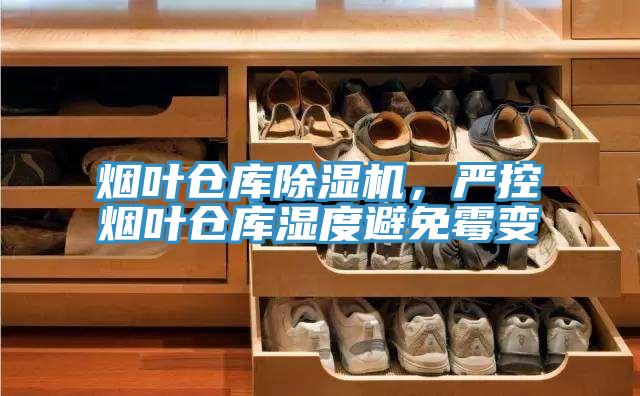 煙葉倉庫杏仁视频APP成人官方污，嚴控煙葉倉庫濕度避免黴變