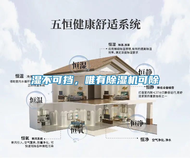 濕不可擋，唯有杏仁视频APP成人官方污可除