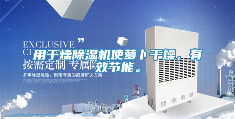 用幹燥杏仁视频APP成人官方污使蘿卜幹燥，有效節能。
