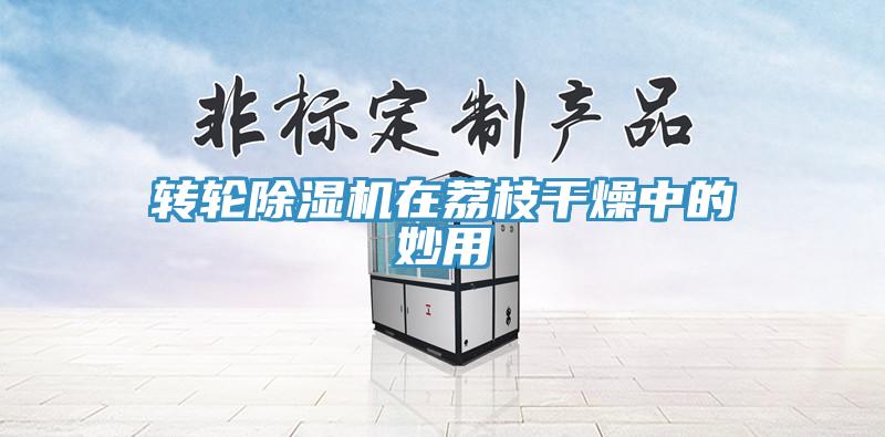 轉輪杏仁视频APP成人官方污在荔枝幹燥中的妙用
