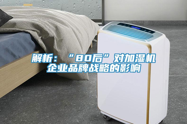 解析：“80後”對加濕機企業品牌戰略的影響