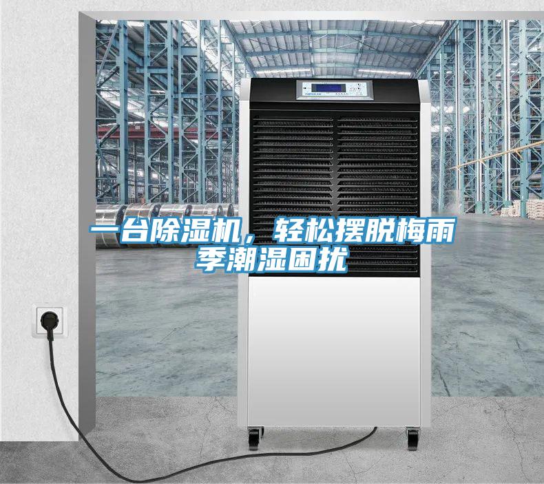 一台杏仁视频APP成人官方污，輕鬆擺脫梅雨季潮濕困擾