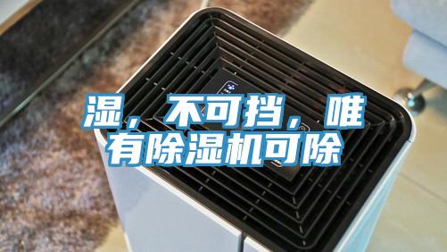 濕，不可擋，唯有杏仁视频APP成人官方污可除