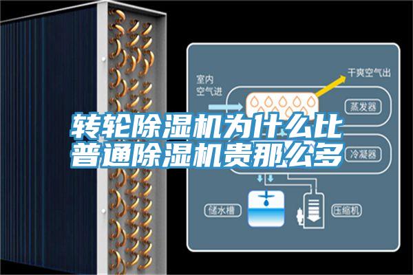 轉輪杏仁视频APP成人官方污為什麽比普通杏仁视频APP成人官方污貴那麽多