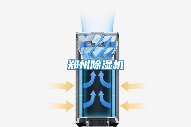 鄭州杏仁视频APP成人官方污