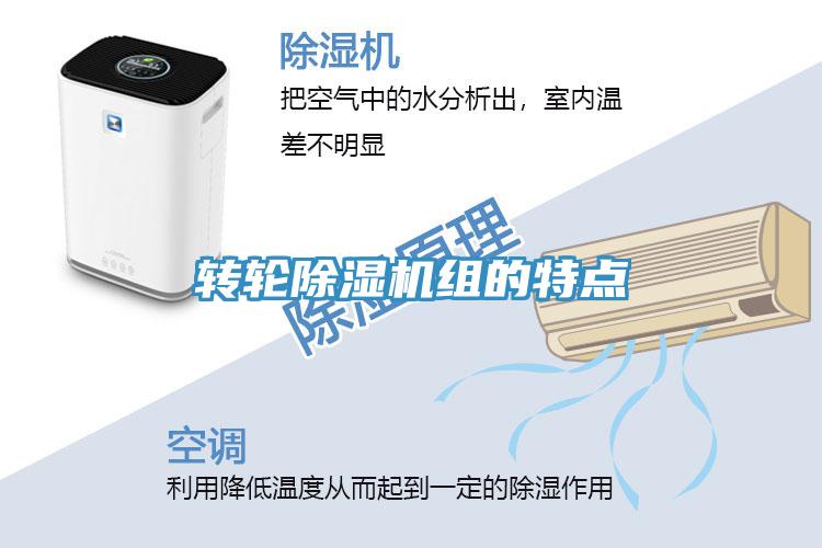 轉輪杏仁视频APP成人官方污組的特點